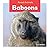 Baboons