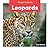 Leopards