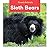Sloth Bears