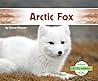 Arctic Fox