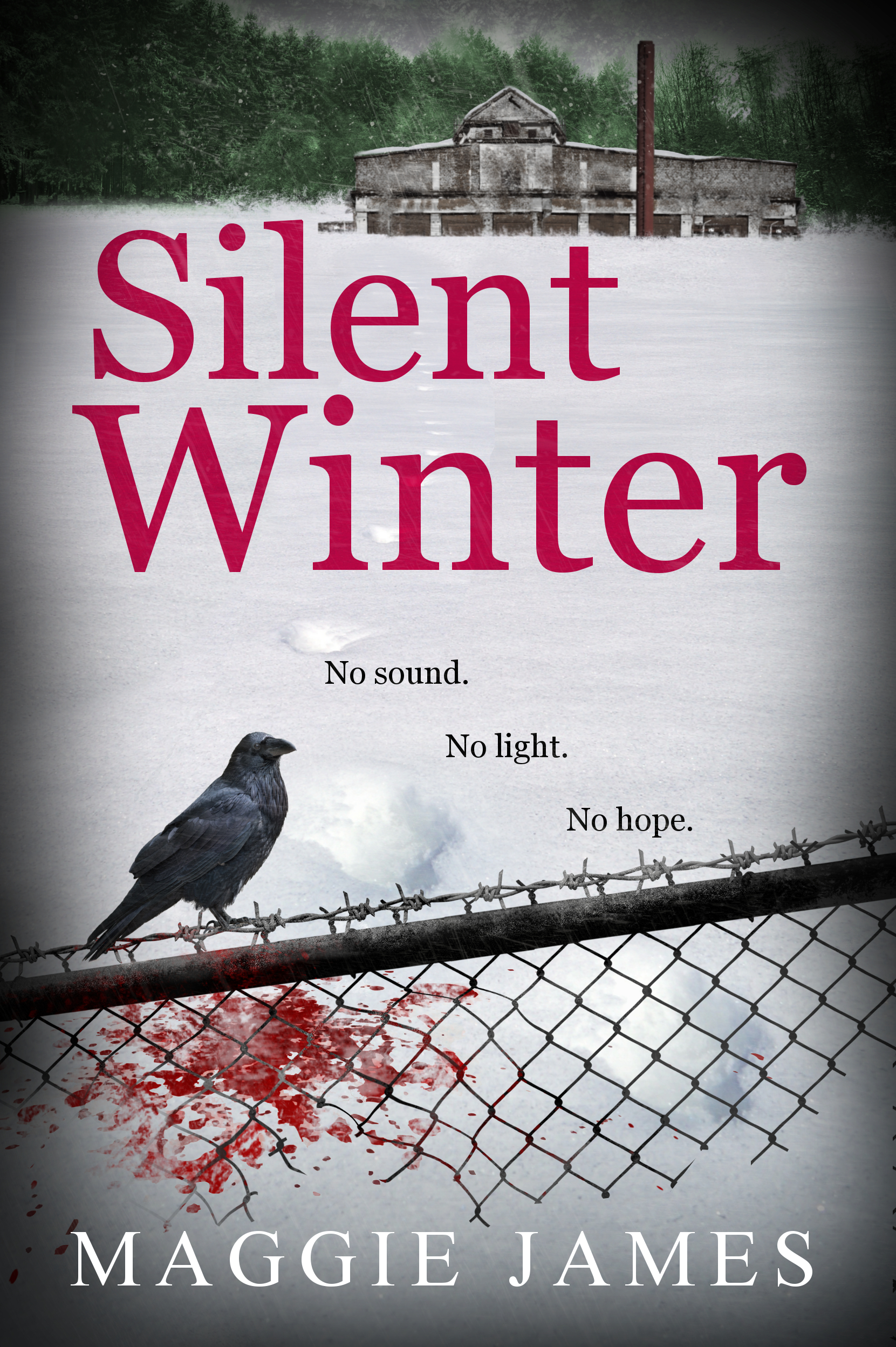 Silent Winter (Kindle Edition)