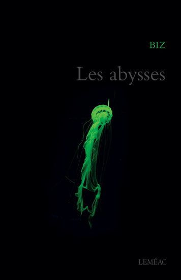 Les abysses (Paperback)