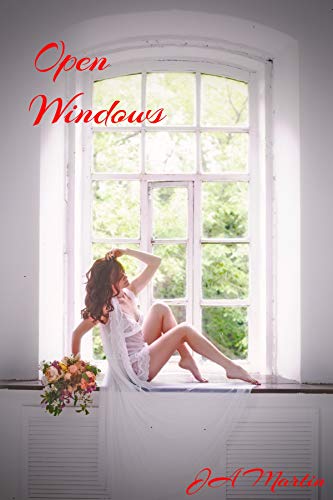 Open Windows (Kindle Edition)