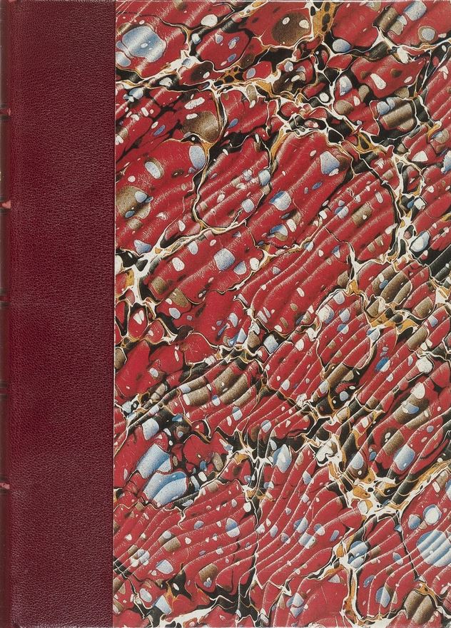 La Divine comtesse : étude d'après Mme la comtesse de Castiglione (Hardcover)