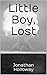 Little Boy, Lost