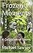Frozen Moments: A Collection of Poems