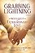 Grabbing Lightning by Donald Marrs