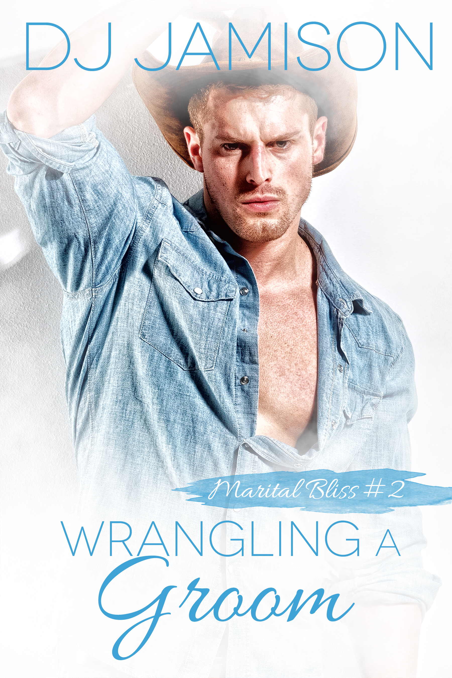 Wrangling a Groom (Marital Bliss, #2)