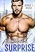 Accidental Surprise (Sinful Desires #1)