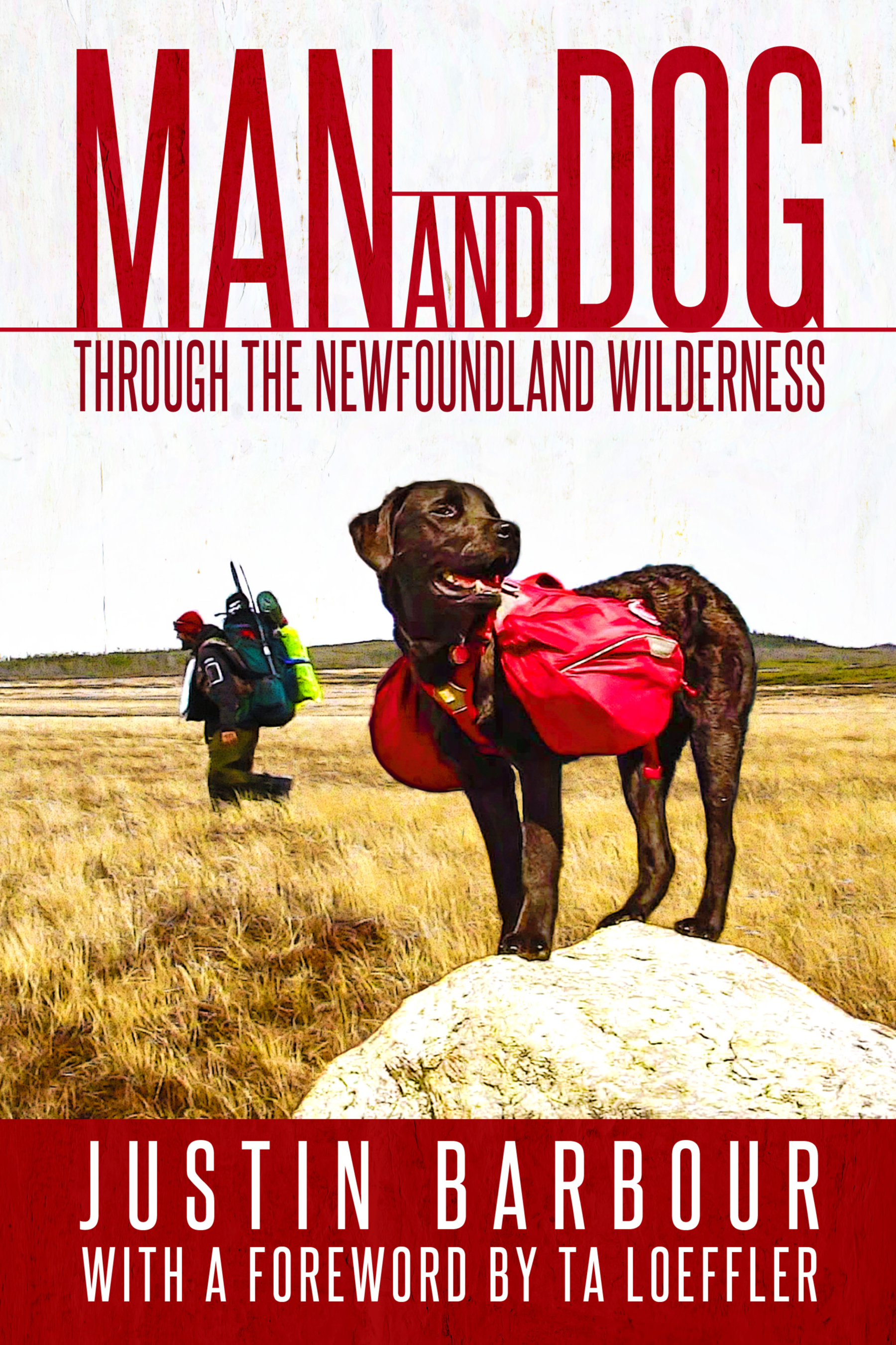 Man and Dog: Through the Newfoundland Wilderness (Paperback)