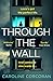 Through the Wall