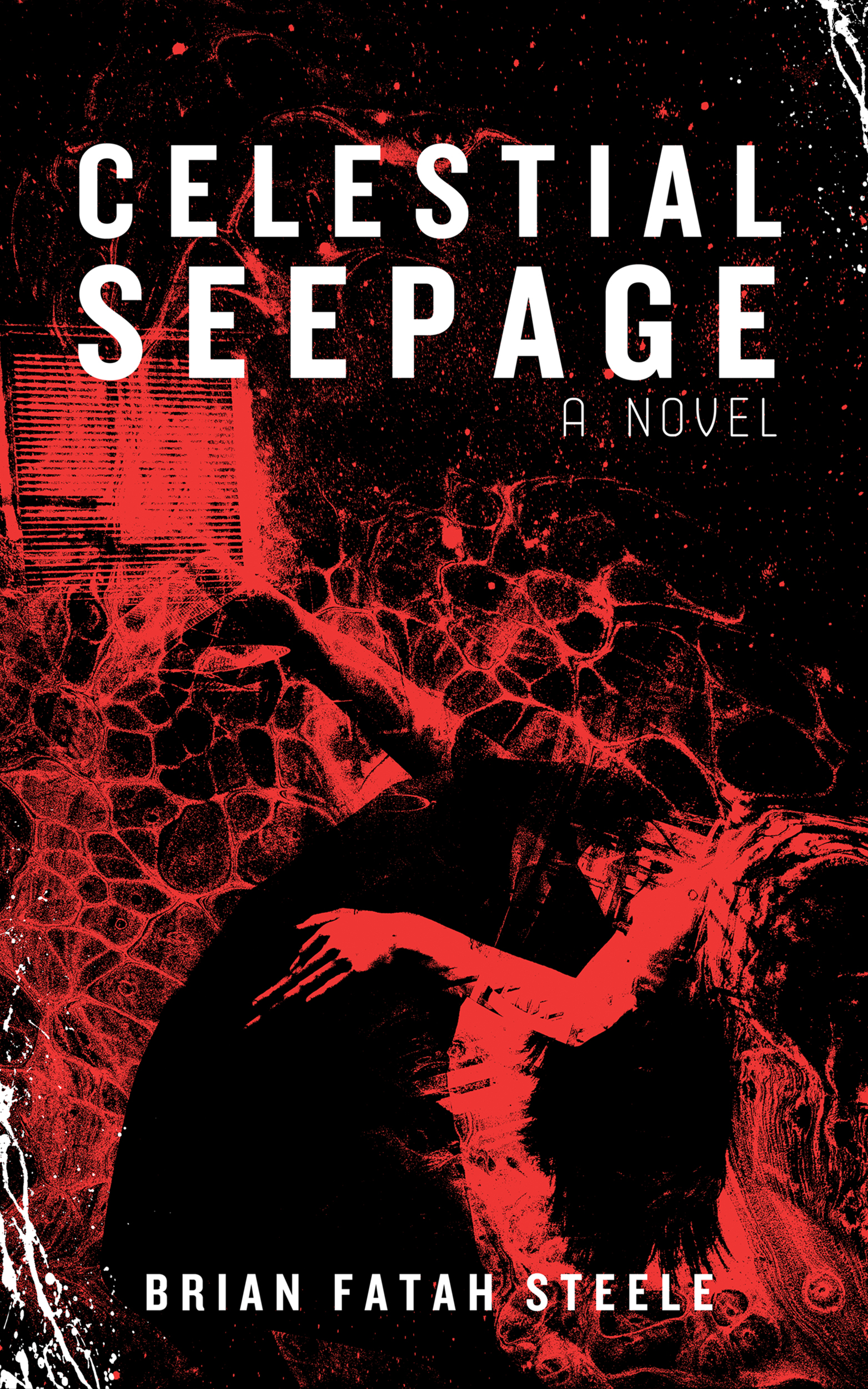 Celestial Seepage (Kindle Edition)