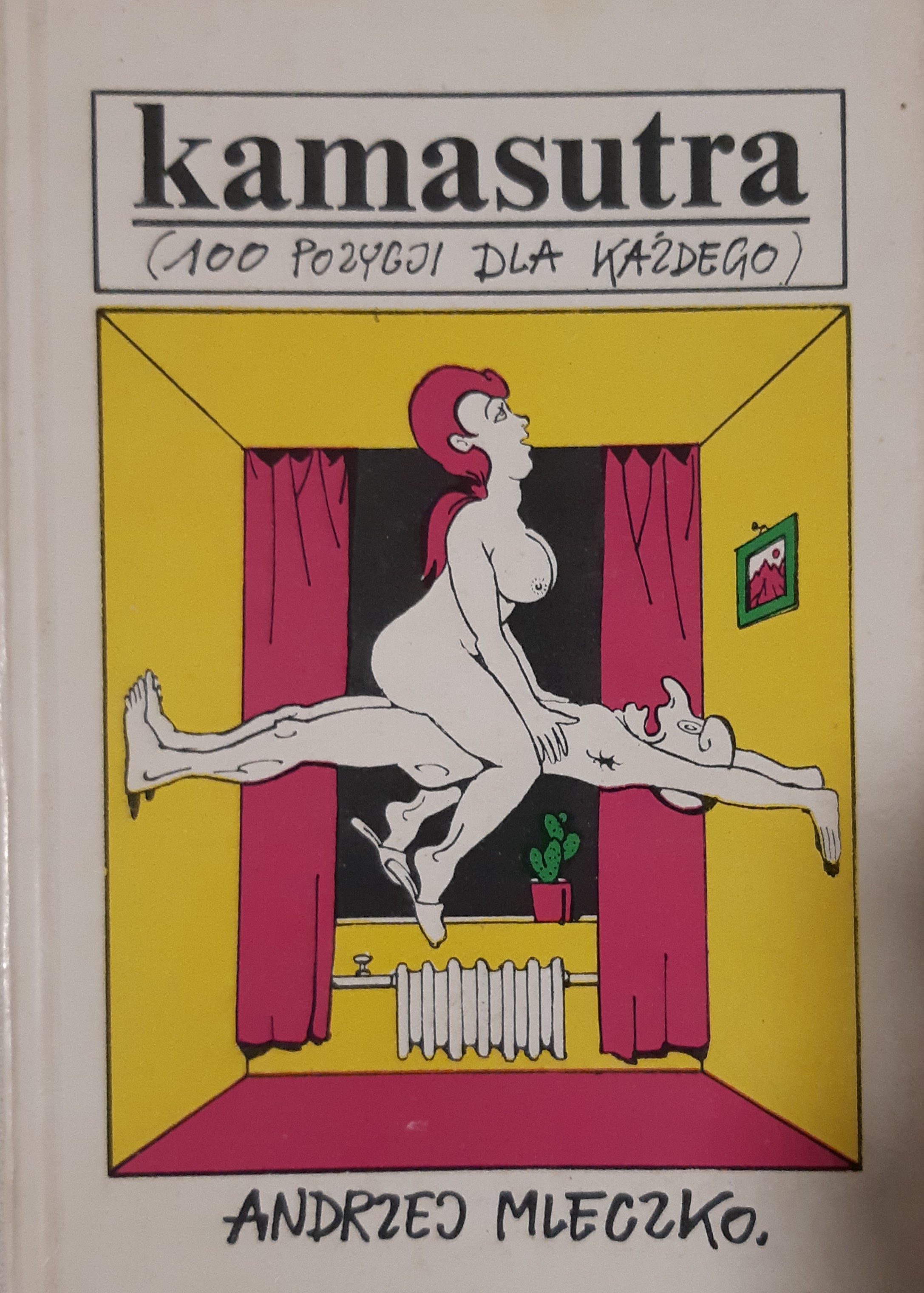 Kamasutra (100 pozycji dla kazdego)