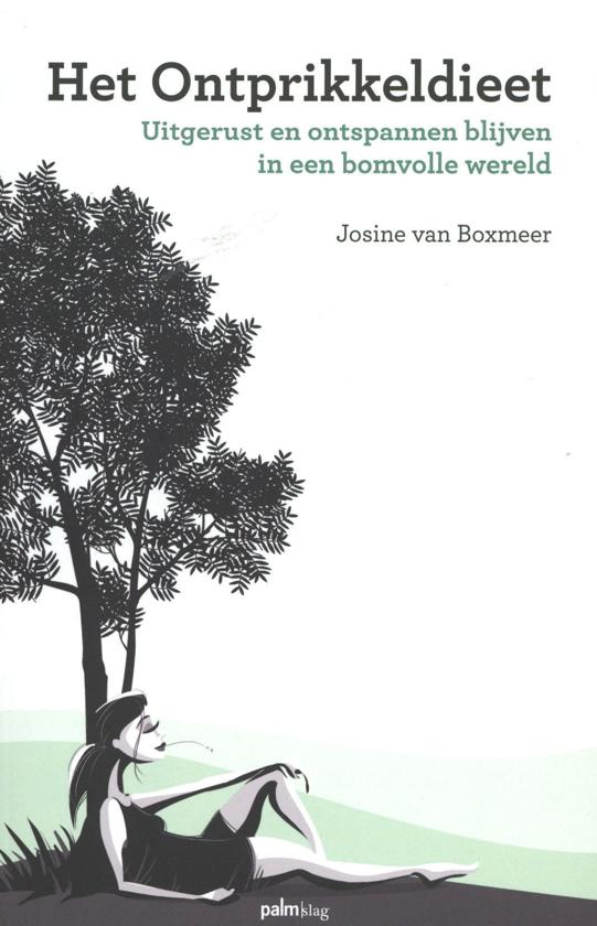 Het Ontprikkeldieet: Uitgerust en ontspannen blijven in een bomvolle wereld (Hardcover)