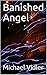 Banished Angel by Michael Vidler
