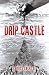 Drip Castle by Bruce Eberts