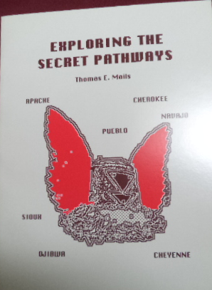 Exploring the Secret Pathways (Paperback)