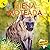 Hiena moteada: Spotted Hyena