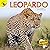 Leopardo: Leopard