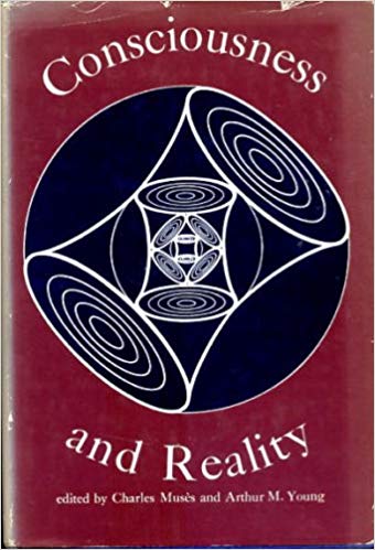 Consciousness and Reality; The human pivot point