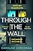 Through the Wall