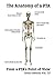 The Anatomy of a PTA: From ...