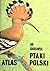 Ptaki Polski by Jan Sokołowski
