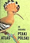 Ptaki Polski