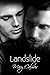 Landslide by Mary Calmes