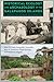 Historical Ecology and Archaeology in the Galápagos Islands: A Legacy of Human Occupation (Society and Ecology in Island and Coastal Archaeology)