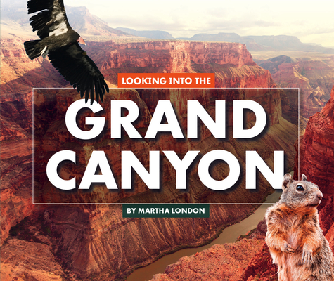 Looking Into the Grand Canyon (Hardcover)