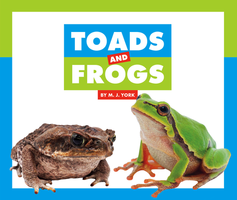 Toads and Frogs (Comparing Animal Differences)