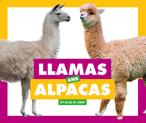 Llamas and Alpacas (Comparing Animal Differences)