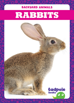 Rabbits (Hardcover)