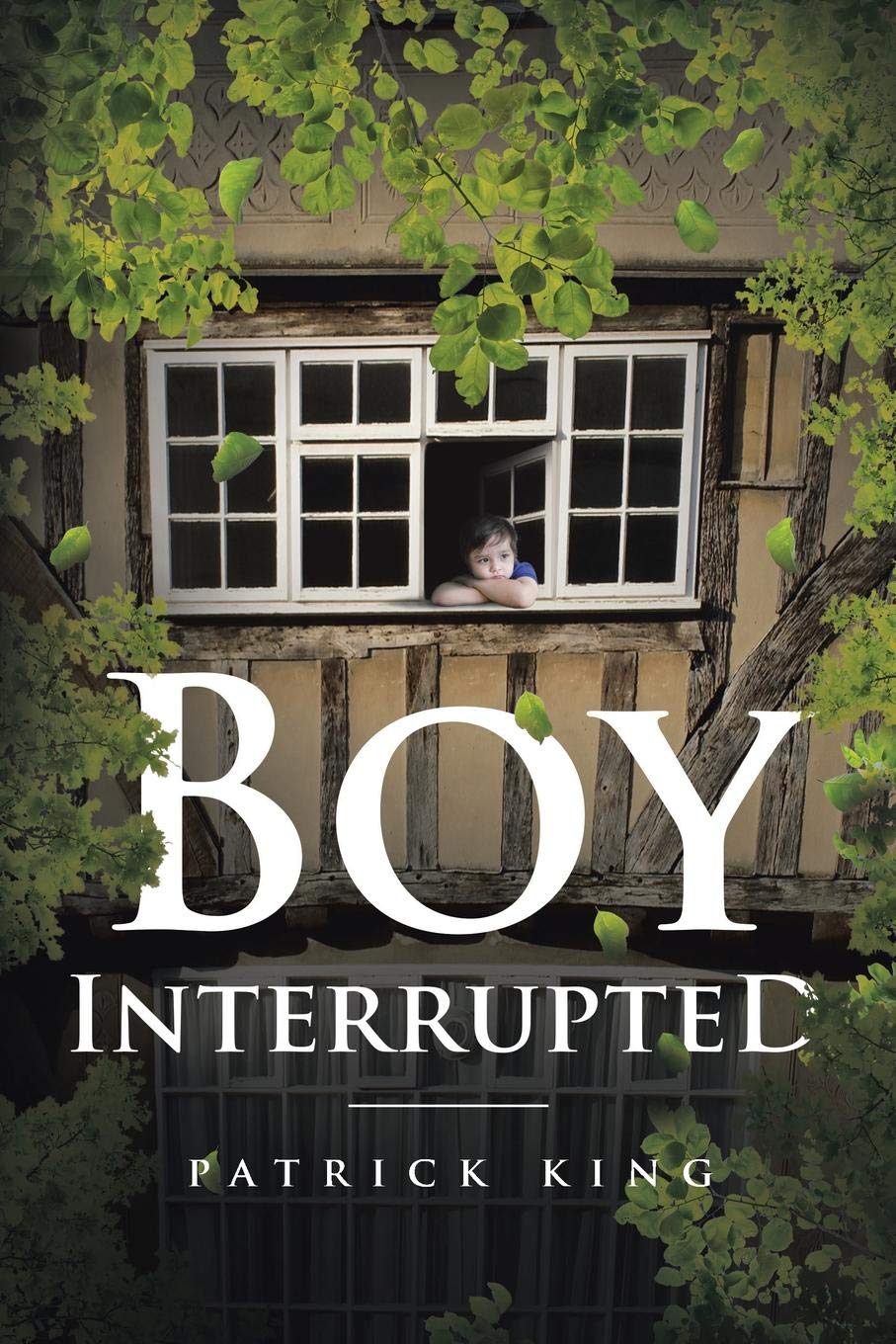 Boy Interrupted (Kindle Edition)