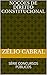 NOÇÕES DE DIREITO CONSTITUCIONAL: SÉRIE CONCURSOS PÚBLICOS