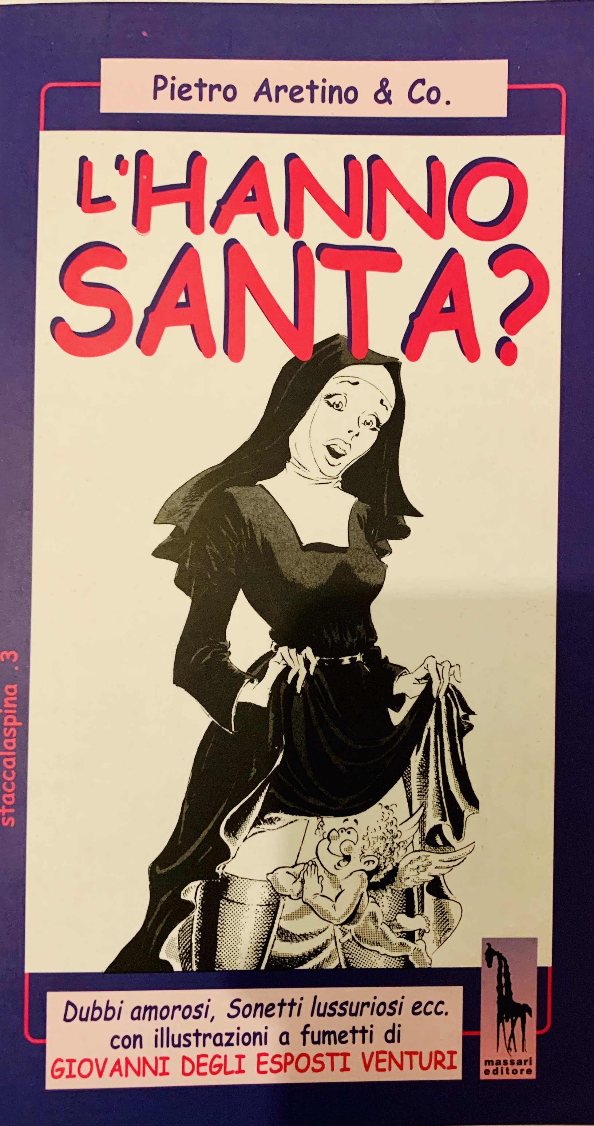 L'hanno santa? (Paperback)