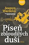 Píseň zbloudilých duší by Jesmyn Ward