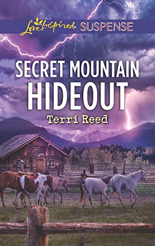 Secret Mountain Hideout (Kindle Edition)