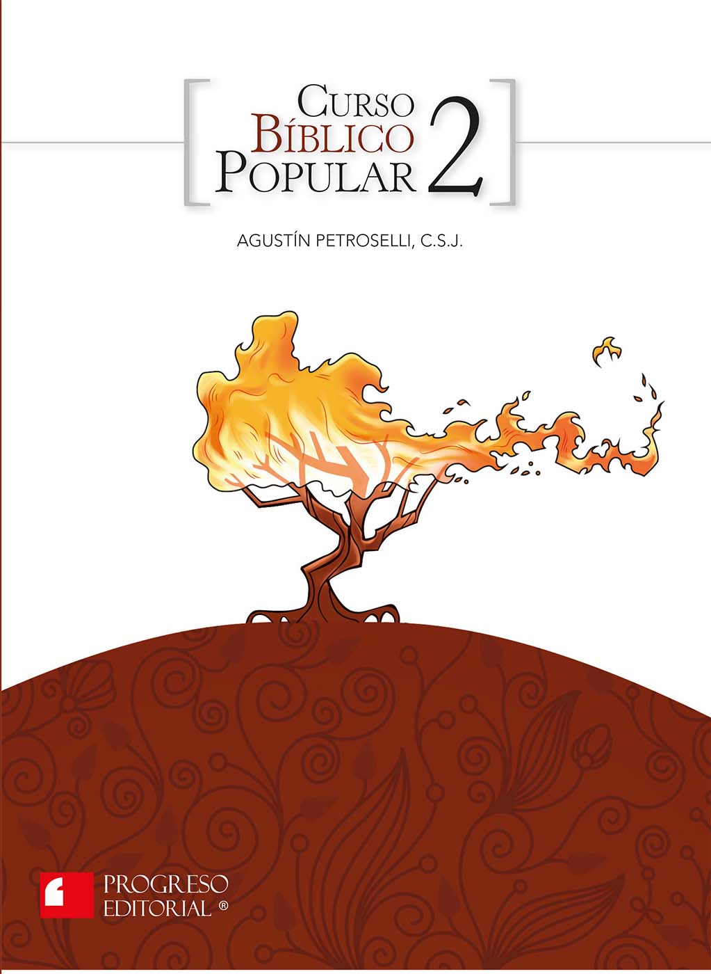 Curso Bíblico Popular 2 (Paperback)