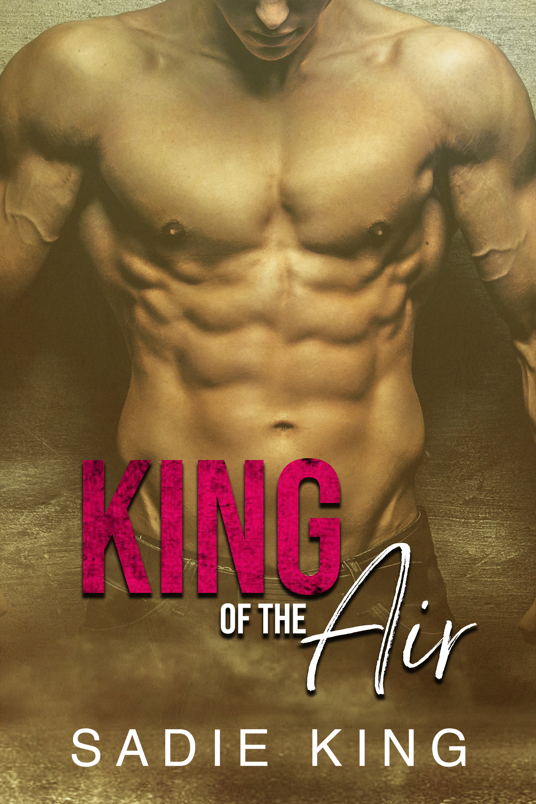 King of the Air (Filthy Rich Love #2)