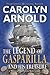 The Legend of Gasparilla and His Treasure (Matthew Connor Adventure #3)