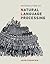Introduction to Natural Language Processing (Adaptive Computation and Machine Learning series)