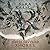 These Divided Shores (Stream Raiders #2)