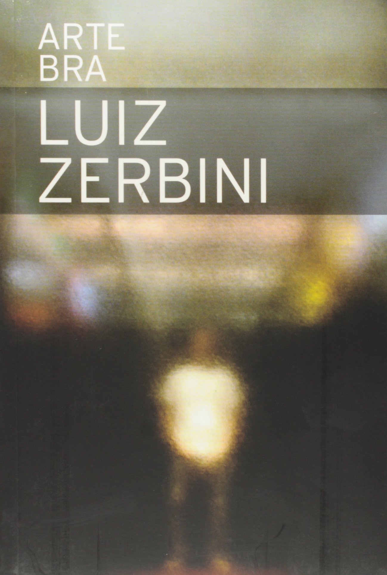 Luiz Zerbini (Arte Bra, #4)