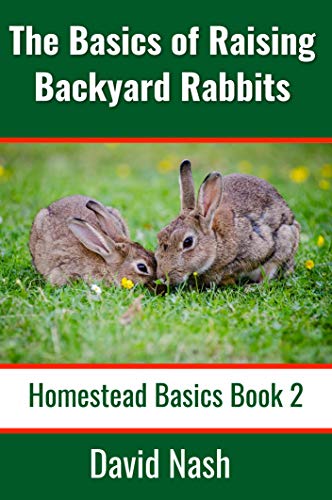 raising cottontail rabbits