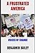 A Frustrated America: Voice...
