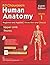 Bd Chaurasia's Human Anatom...