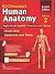 Bd Chaurasia's Human Anatomy, Volume 2: Regional and Applied Dissection and Clinical: Lower Limb, Abdomen and Pelvis