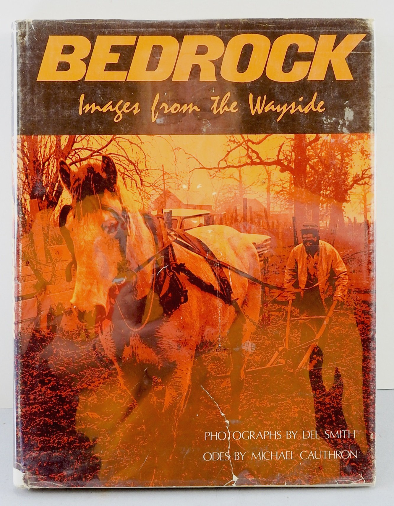 Bedrock: Images from the wayside